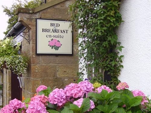 로빈후즈베이 소프 그린 하우스 B&B 외부 사진
